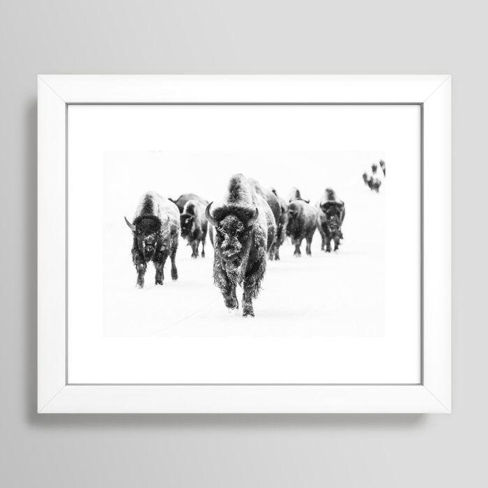 Winter Buffalo x Yellowstone Decor Framed Art Print by Vintage Patina